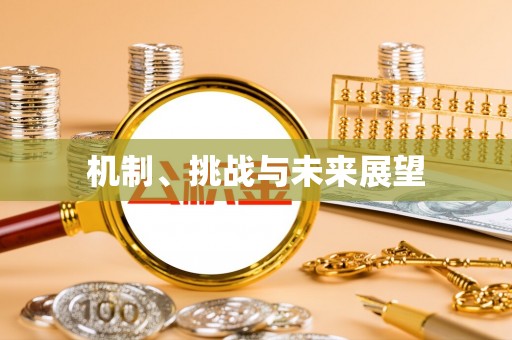 涟水机制、挑战与未来展望